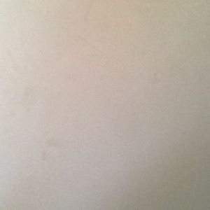 Meet your Posher, Evie